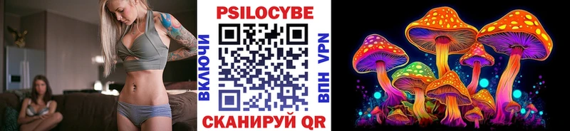 закладки  Можга  Галлюциногенные грибы Magic Shrooms 