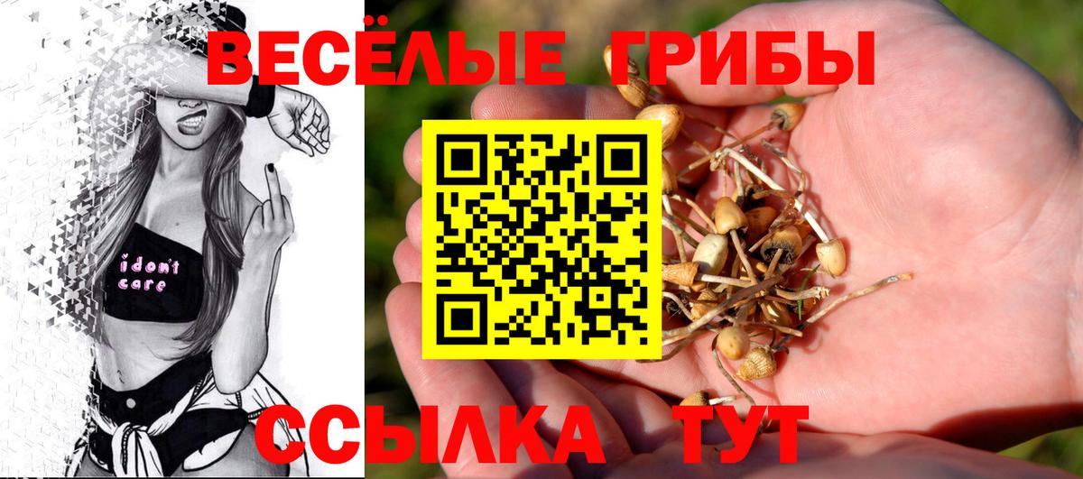 Псилоцибиновые грибы прущие грибы  Вход с VPN  где найти   Можга 