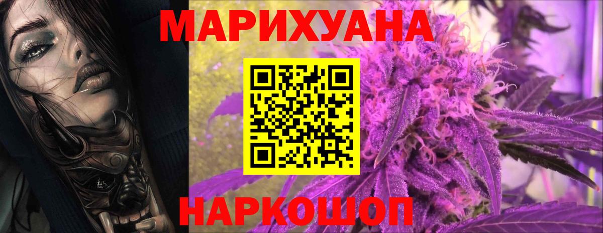 Каннабис индика Можга